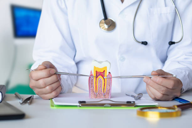 Best After-Hours Dental Trauma Care in Terrell, TX
